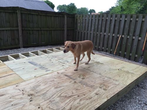 dan's 12x10 saltbox shed